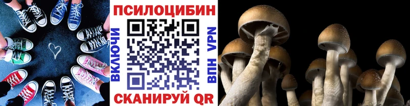 Псилоцибиновые грибы Magic Shrooms  Светлоград 